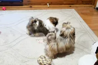 processed/7a5e70c1-ae8b-4c4c-bb77-42092f29b730/listing/9ffbc38a-5014-4075-9160-109293c875c0/8cf39753-0efc-405a-9f33-4e6d528ea3f4