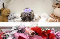 processed/7a5e70c1-ae8b-4c4c-bb77-42092f29b730/listing/9ffbc38a-5014-4075-9160-109293c875c0/c01c52c5-0557-4cd0-b305-f55e0104a314