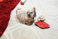 processed/7a5e70c1-ae8b-4c4c-bb77-42092f29b730/listing/9ffbc38a-5014-4075-9160-109293c875c0/e295bdb4-7f25-4565-a201-3c0a7e71ec7a