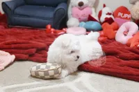 processed/7a5e70c1-ae8b-4c4c-bb77-42092f29b730/listing/adb81cfa-d38f-4d5a-ae42-05e799568ffa/6081b16e-85f6-488d-ab43-0ed2025d8dd7