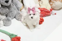 processed/7a5e70c1-ae8b-4c4c-bb77-42092f29b730/listing/adb81cfa-d38f-4d5a-ae42-05e799568ffa/6793a8ca-131b-41db-a1ff-d51f9b58b66e