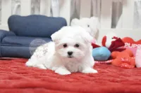 processed/7a5e70c1-ae8b-4c4c-bb77-42092f29b730/listing/adb81cfa-d38f-4d5a-ae42-05e799568ffa/82dff988-1af0-45f2-8a53-3888a4573e7a