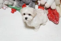 processed/7a5e70c1-ae8b-4c4c-bb77-42092f29b730/listing/c938c81c-57c4-4f5c-9460-4de462f39126/72370bb0-e009-4ac3-b296-5dc33759fc57