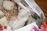 processed/7a5e70c1-ae8b-4c4c-bb77-42092f29b730/listing/c938c81c-57c4-4f5c-9460-4de462f39126/b9c5b659-9bf6-4fcc-8f79-195f8efe1ba0