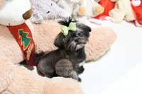 processed/7a5e70c1-ae8b-4c4c-bb77-42092f29b730/listing/d8ffdcb5-1022-4094-8c09-cdf0e81e46f4/0656fff2-c9ef-46ea-a141-70f42f8e4081