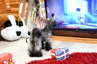 processed/7a5e70c1-ae8b-4c4c-bb77-42092f29b730/listing/d8ffdcb5-1022-4094-8c09-cdf0e81e46f4/0f0317a2-95ee-45d8-9759-ca6781351d97