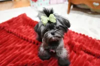 processed/7a5e70c1-ae8b-4c4c-bb77-42092f29b730/listing/d8ffdcb5-1022-4094-8c09-cdf0e81e46f4/3193a0df-8400-49c4-9117-2e05c2778292