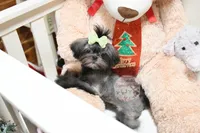 processed/7a5e70c1-ae8b-4c4c-bb77-42092f29b730/listing/d8ffdcb5-1022-4094-8c09-cdf0e81e46f4/5753ce25-d516-4249-852b-09658696ee2b