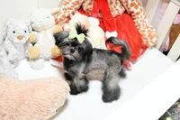 processed/7a5e70c1-ae8b-4c4c-bb77-42092f29b730/listing/d8ffdcb5-1022-4094-8c09-cdf0e81e46f4/e3f2a410-c132-46d0-931e-70b6351c9915