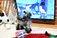 processed/7a5e70c1-ae8b-4c4c-bb77-42092f29b730/listing/d8ffdcb5-1022-4094-8c09-cdf0e81e46f4/edcef8c6-efa5-4c1a-ae53-758ceae0dfc5