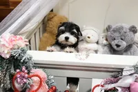 processed/7a5e70c1-ae8b-4c4c-bb77-42092f29b730/listing/fe8f3792-df58-43be-b657-1b50103ab83f/38a5f702-e72f-4c4b-981e-f7bdff0455dc