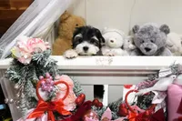 processed/7a5e70c1-ae8b-4c4c-bb77-42092f29b730/listing/fe8f3792-df58-43be-b657-1b50103ab83f/404abad0-a503-4737-bc82-b3e4cd455649