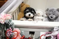 processed/7a5e70c1-ae8b-4c4c-bb77-42092f29b730/listing/fe8f3792-df58-43be-b657-1b50103ab83f/49dc33ce-49e2-4c1c-89b3-f9bc5fc9adb4