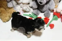 processed/7a5e70c1-ae8b-4c4c-bb77-42092f29b730/listing/fe8f3792-df58-43be-b657-1b50103ab83f/65c563f3-051f-4825-9e4e-ffd4b3212c75