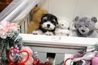 processed/7a5e70c1-ae8b-4c4c-bb77-42092f29b730/listing/fe8f3792-df58-43be-b657-1b50103ab83f/8396f0fe-aea6-467c-a442-746449464dc2