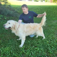 Reina, a female English Cream Golden Retriever for sale in New Columbia, PA – Photo 2 of 3