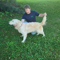 Reina, a female English Cream Golden Retriever for sale in New Columbia, PA – Photo 1 of 3