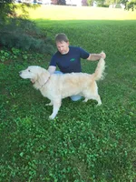 Reina, a female English Cream Golden Retriever for sale in New Columbia, PA – Photo 1 of 3