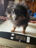 processed/7a60c1b4-9931-41f4-9cb5-3ef1536b48cc/listing/0a8eefb0-6c72-4246-bdd9-504778c30402/11b12f6d-389c-421c-90d5-02b60f34bcbb