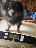 processed/7a60c1b4-9931-41f4-9cb5-3ef1536b48cc/listing/0a8eefb0-6c72-4246-bdd9-504778c30402/404dd2b7-1234-4580-ad2d-cdb94a4df1f2