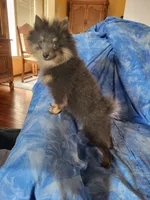 processed/7a60c1b4-9931-41f4-9cb5-3ef1536b48cc/listing/0a8eefb0-6c72-4246-bdd9-504778c30402/41af1587-3ac2-4023-8863-e3f25f148910