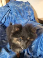 processed/7a60c1b4-9931-41f4-9cb5-3ef1536b48cc/listing/0a8eefb0-6c72-4246-bdd9-504778c30402/77a69378-dbd3-4008-816f-f265d26c4e6f