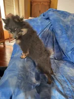 processed/7a60c1b4-9931-41f4-9cb5-3ef1536b48cc/listing/0a8eefb0-6c72-4246-bdd9-504778c30402/9b6cdd0b-b757-4f9d-9b5c-a9d151264095