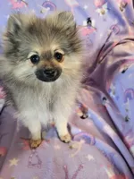 processed/7a60c1b4-9931-41f4-9cb5-3ef1536b48cc/listing/0db67a57-70b0-4482-b02d-64807174f6c3/23d332d3-03ba-4c6b-9e13-40bd3a4a0d10