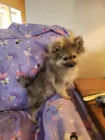 processed/7a60c1b4-9931-41f4-9cb5-3ef1536b48cc/listing/0db67a57-70b0-4482-b02d-64807174f6c3/777fa0b0-3a7c-4c66-a350-f13a4c0af760