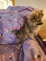 processed/7a60c1b4-9931-41f4-9cb5-3ef1536b48cc/listing/0db67a57-70b0-4482-b02d-64807174f6c3/9858be9b-b692-42b2-ba5b-11ae85828b0f