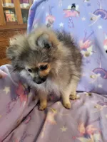 processed/7a60c1b4-9931-41f4-9cb5-3ef1536b48cc/listing/0db67a57-70b0-4482-b02d-64807174f6c3/e2c6305f-7093-4c95-9ee8-021a2c198809