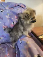 processed/7a60c1b4-9931-41f4-9cb5-3ef1536b48cc/listing/0db67a57-70b0-4482-b02d-64807174f6c3/e388464e-8759-4902-93bd-1003383678b4