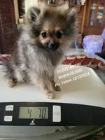 processed/7a60c1b4-9931-41f4-9cb5-3ef1536b48cc/listing/0db67a57-70b0-4482-b02d-64807174f6c3/e7355283-feae-4d21-968c-ad71c2300dc7