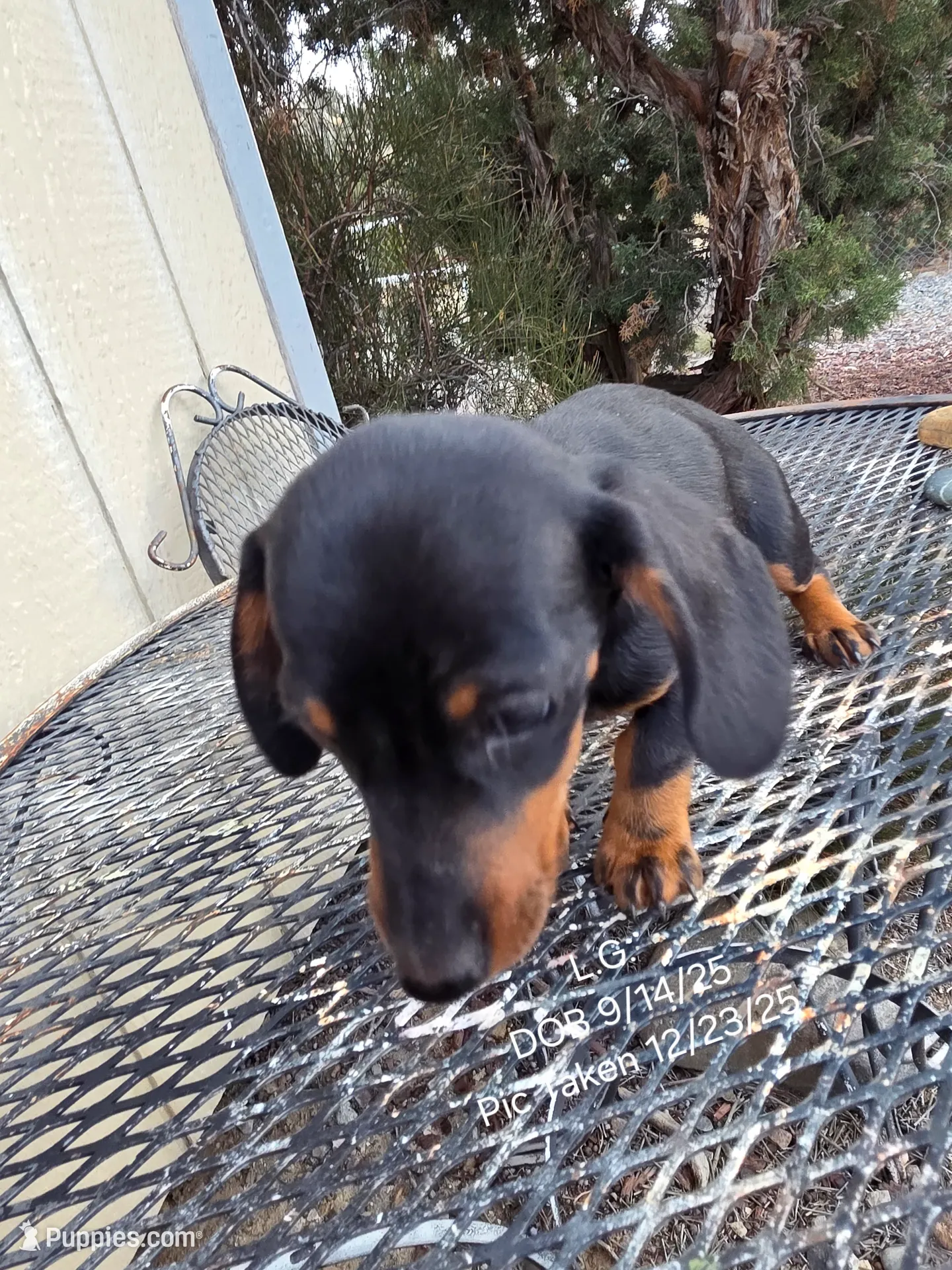 processed/7a60c1b4-9931-41f4-9cb5-3ef1536b48cc/listing/48bfad98-1115-49fa-ba0b-800cb4f2ea1e/451362b6-505c-4377-826f-1c4dfc409ca3