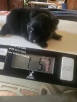 processed/7a60c1b4-9931-41f4-9cb5-3ef1536b48cc/listing/54f68ab7-d00c-4a90-a52f-a66c83d0669a/2ee923e3-521e-41b7-b433-7498dc7e2edb