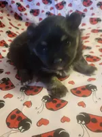 processed/7a60c1b4-9931-41f4-9cb5-3ef1536b48cc/listing/54f68ab7-d00c-4a90-a52f-a66c83d0669a/8942cfcf-7872-47cd-8ddc-8210b7daa5f3