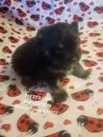 processed/7a60c1b4-9931-41f4-9cb5-3ef1536b48cc/listing/54f68ab7-d00c-4a90-a52f-a66c83d0669a/8d3a8de5-e1a9-41d1-80e8-507434a842d5