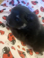 processed/7a60c1b4-9931-41f4-9cb5-3ef1536b48cc/listing/54f68ab7-d00c-4a90-a52f-a66c83d0669a/c56d9033-f500-4ff1-889d-3de6aa208c9d