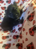 processed/7a60c1b4-9931-41f4-9cb5-3ef1536b48cc/listing/54f68ab7-d00c-4a90-a52f-a66c83d0669a/e645ec25-10b6-4417-97e4-7f00eacba0b7