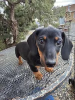 processed/7a60c1b4-9931-41f4-9cb5-3ef1536b48cc/listing/940e67e6-2a78-4ee9-8534-742084574175/7697fbec-9d61-4535-81a1-18c3721136cd