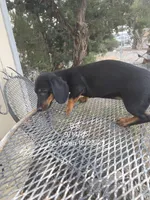 processed/7a60c1b4-9931-41f4-9cb5-3ef1536b48cc/listing/940e67e6-2a78-4ee9-8534-742084574175/9c3f2104-0c67-46d0-9134-dd3f13560728