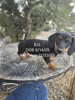 processed/7a60c1b4-9931-41f4-9cb5-3ef1536b48cc/listing/940e67e6-2a78-4ee9-8534-742084574175/b0bd5a59-16bc-4a13-a62c-140f6f952dcb