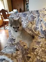 processed/7a60c1b4-9931-41f4-9cb5-3ef1536b48cc/listing/b7edb68a-d652-4957-9090-17776628f230/244457ab-6fa7-435d-bff6-74d625c3604b