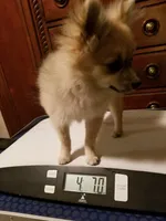 processed/7a60c1b4-9931-41f4-9cb5-3ef1536b48cc/listing/b7edb68a-d652-4957-9090-17776628f230/4bd6ba30-e5f5-4ca0-b800-e77a29d47dc9