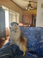 processed/7a60c1b4-9931-41f4-9cb5-3ef1536b48cc/listing/b7edb68a-d652-4957-9090-17776628f230/5cb26a6a-9f23-4ceb-9fac-e764dd848867