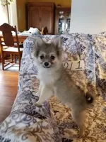 processed/7a60c1b4-9931-41f4-9cb5-3ef1536b48cc/listing/b7edb68a-d652-4957-9090-17776628f230/b86805d8-9ba6-4c66-b725-9c4af8b784eb