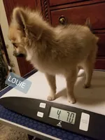 processed/7a60c1b4-9931-41f4-9cb5-3ef1536b48cc/listing/b7edb68a-d652-4957-9090-17776628f230/f68eec71-c90b-44d4-a4d2-99c1dbfb3d29