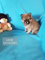 processed/7a60c1b4-9931-41f4-9cb5-3ef1536b48cc/listing/b7edb68a-d652-4957-9090-17776628f230/fea143e8-1b4c-493f-83c5-ae365d8d87ed