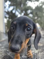 processed/7a60c1b4-9931-41f4-9cb5-3ef1536b48cc/listing/bab5b15d-db99-462e-a729-4337430f35c0/28cdc905-1b53-4640-8c8a-bed1481d0b57