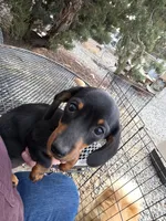 processed/7a60c1b4-9931-41f4-9cb5-3ef1536b48cc/listing/bab5b15d-db99-462e-a729-4337430f35c0/e762e667-7d6e-4f0b-bd60-33e2ecb7845f